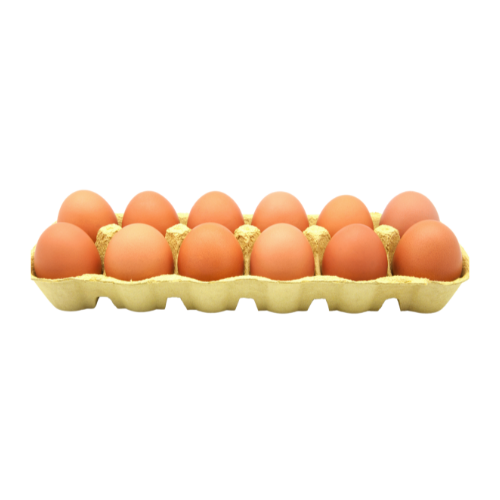 Eggs FRESH MARKET Saint Lucia (1)